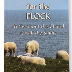 Foundations for the flock